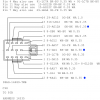 C98 Connector