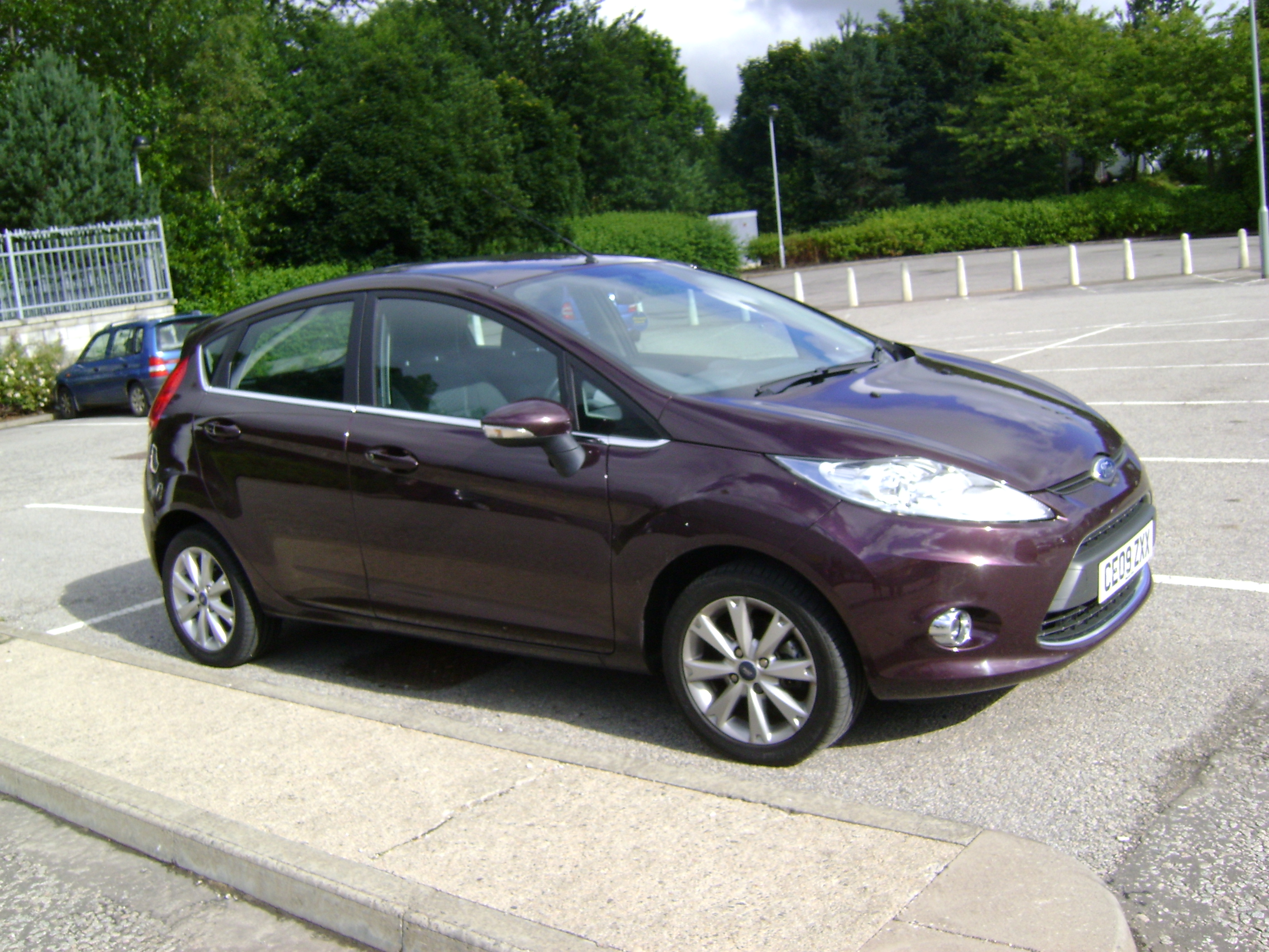Краска ford morello