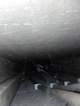20160325_192758_zpsvzp7limx.thumb.jpg.d05665daf7ea279390397bb241a1d696.jpg