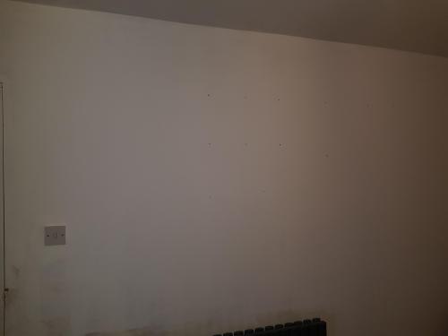 20171230_081044.thumb.jpg.29ac7e49fd5193aa1bfcbe6b5be181e3.jpg