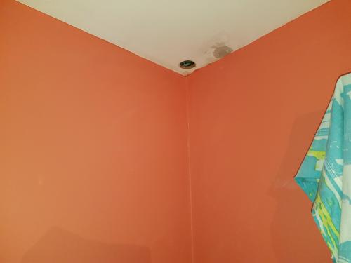 20180329_191049.thumb.jpg.1a07a978da2c86c0d640c9811a42285b.jpg