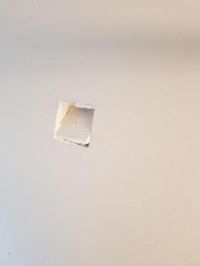20181013_123822.thumb.jpg.d0324554bdf0dfc20fbe97c0aecbcefd.jpg
