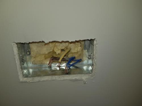 20181028_140511.thumb.jpg.186b8ca3f29baa21e37db540c976dc48.jpg