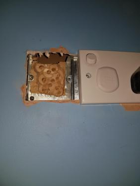 20181222_163214.thumb.jpg.d4dd6e75d94dc11da2e321ea6a7cd607.jpg