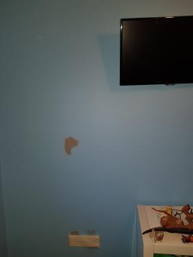20181223_151008.thumb.jpg.dd1a5b53f908cce151aa84b29133597a.jpg