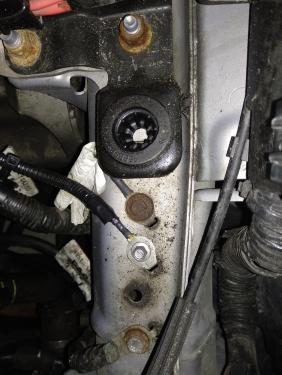 Lurking under airbox.jpg