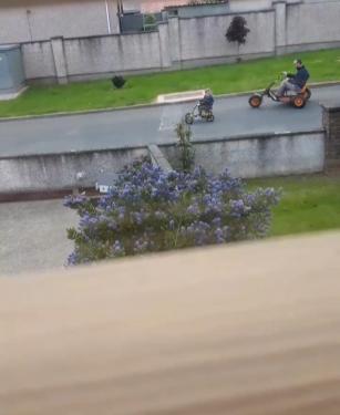 20190601_145510.thumb.jpg.ae8521040df81bc6d4d95d956ef406fb.jpg