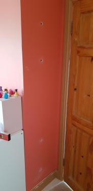 20190608_152947.thumb.jpg.e16f5280298cc49ab87609e0098f1c7d.jpg