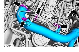 qerg13rg.jpg