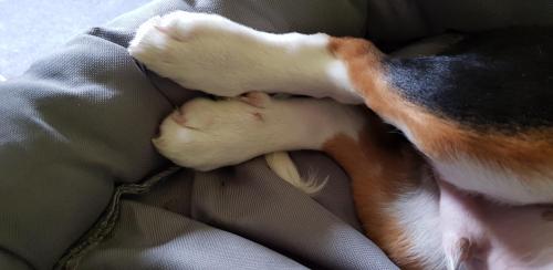 20190811_184647.thumb.jpg.1407c42d7c579812d437fc83e933e324.jpg