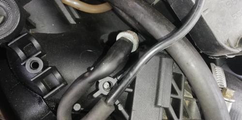 IMG_20190928_132539[1].jpg