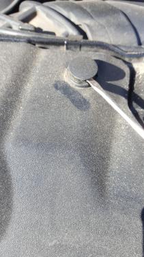 20190917_095229.thumb.jpg.a82058eb059f98bb1d6a1743aafd8af2.jpg