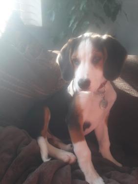 IMG-20190831-WA0007.thumb.jpg.071015cb0f064c4e1c1a6f1f99cd4006.jpg
