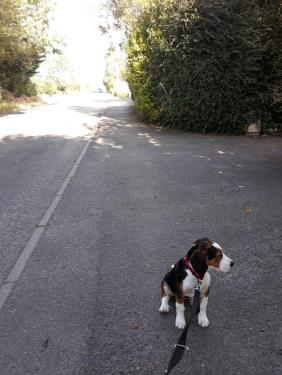 IMG-20190912-WA0001.thumb.jpg.a92e838ec85dadab8ece6135198493d1.jpg