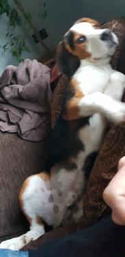 20191017_083648.thumb.jpg.18abd6ee9ad1b5ceaefad9d248814749.jpg
