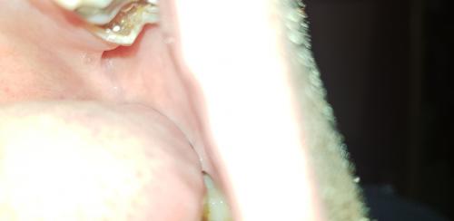 20191107_031121.jpg