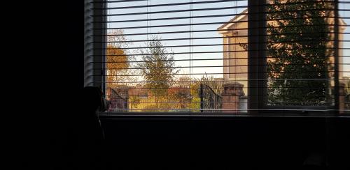 20191118_085240.thumb.jpg.c43fecc838ae616d2fd021192534500d.jpg