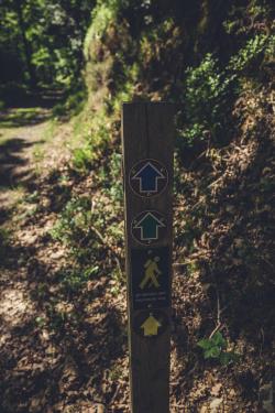 1072497039_ValeofClara.WalkinginWicklow.ThegardenofIreland.Wicklow.ClaraVale.Ferns.Ireland.trees.photography.sunlight.trailmarkers.green_blue..thumb.jpg.93c1bd96e9a2fd0740069497643c3c27.jpg