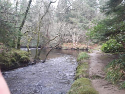 IMG-20200202-WA0068.thumb.jpg.509fe0d0e92620ea9175f56334cda342.jpg